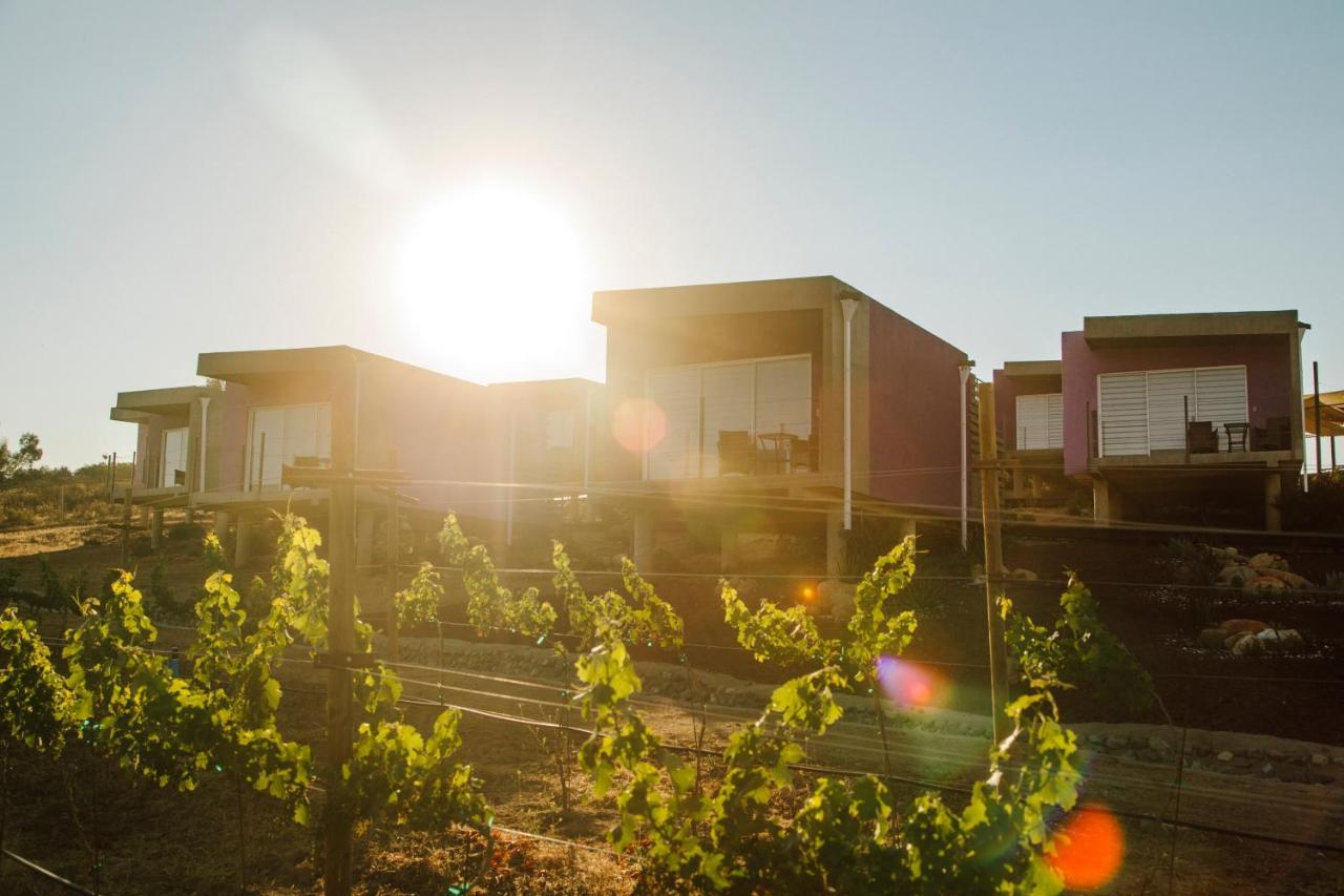 Villa Flor De Cera Valle de Guadalupe Exterior foto